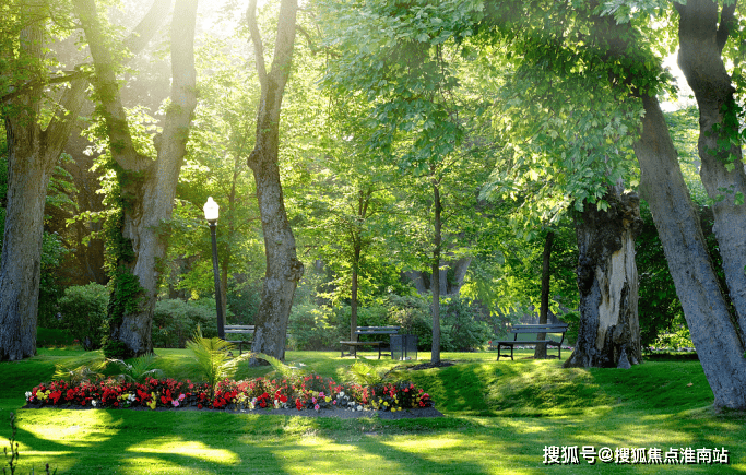 -小区环境-户型-价格-地址-楼盘详情-周边配套-售楼处电话AG真人国际尚湾林语(售楼处电话)尚湾林语首页网站-销售中心(图13) -小区环境-户型-价格-地址-楼盘详情-周边配套-售楼处电话AG真人国际尚湾林语(售楼处电话)尚湾林语首页网站-销售中心(图13)